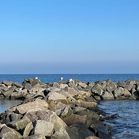 Lejlighed Neubau-ferienwohnung Sandy In Erster Reihe An Der Ostsee